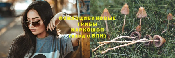 мяу мяу кристалл Нефтекумск